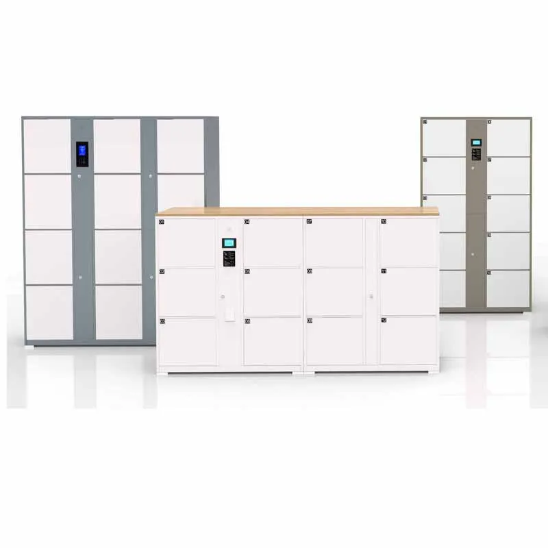 Steel Electronic Locker