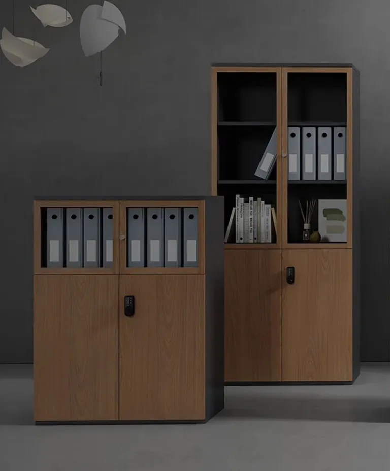 Discover Meoen's Premium Steel Cabinet & Locker Collection